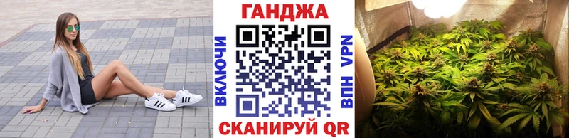 где найти   Торопец  Канабис White Widow 